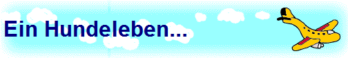Ein Hundeleben...